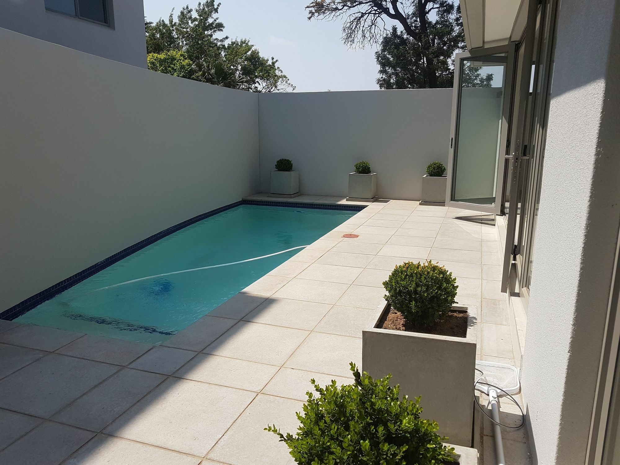 Daisy Place جوهانسبورغ المظهر الخارجي الصورة